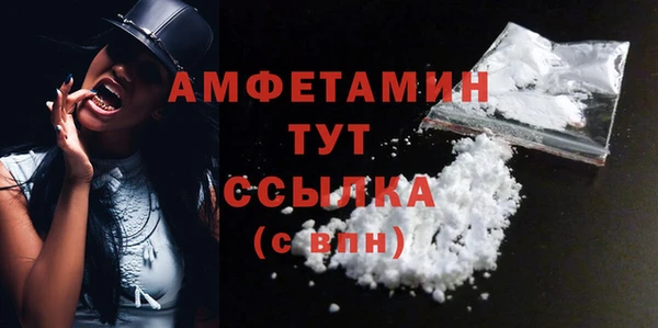 a pvp Пересвет