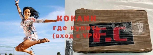 дмт Пестово