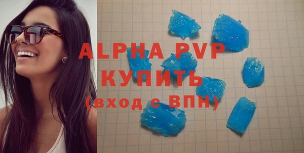 a pvp Пересвет