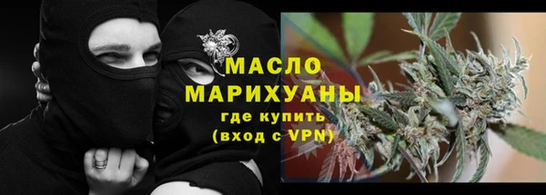 дмт Пестово