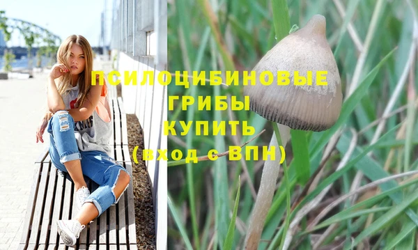 a pvp Пересвет