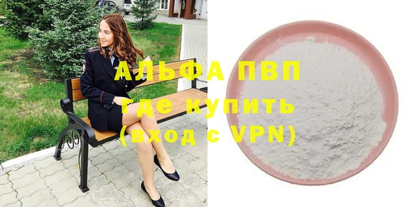 a pvp Пересвет