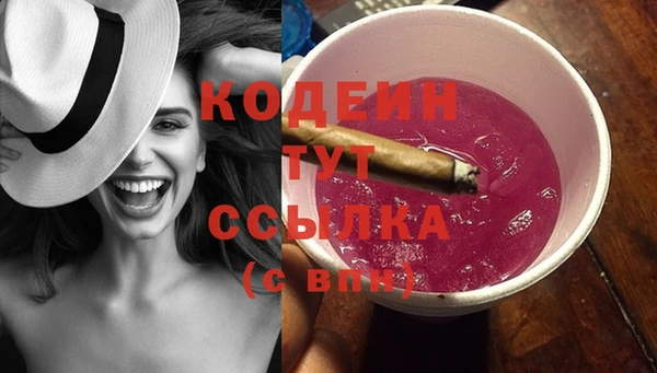 дмт Пестово