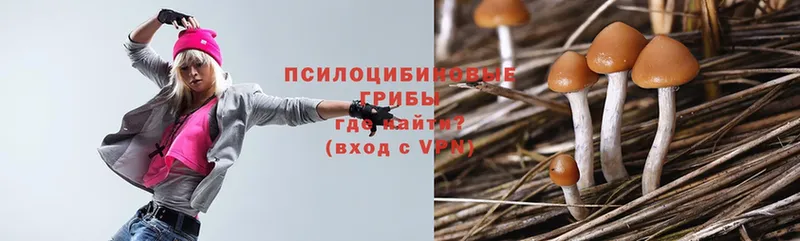 Галлюциногенные грибы Psilocybe  где купить наркотик  Бугуруслан 