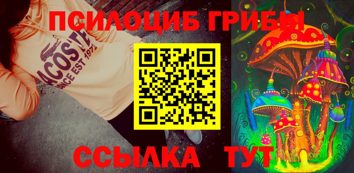 Псилоцибиновые грибы ЛСД  Псилоцибиновые грибы мицелий  Бугуруслан 