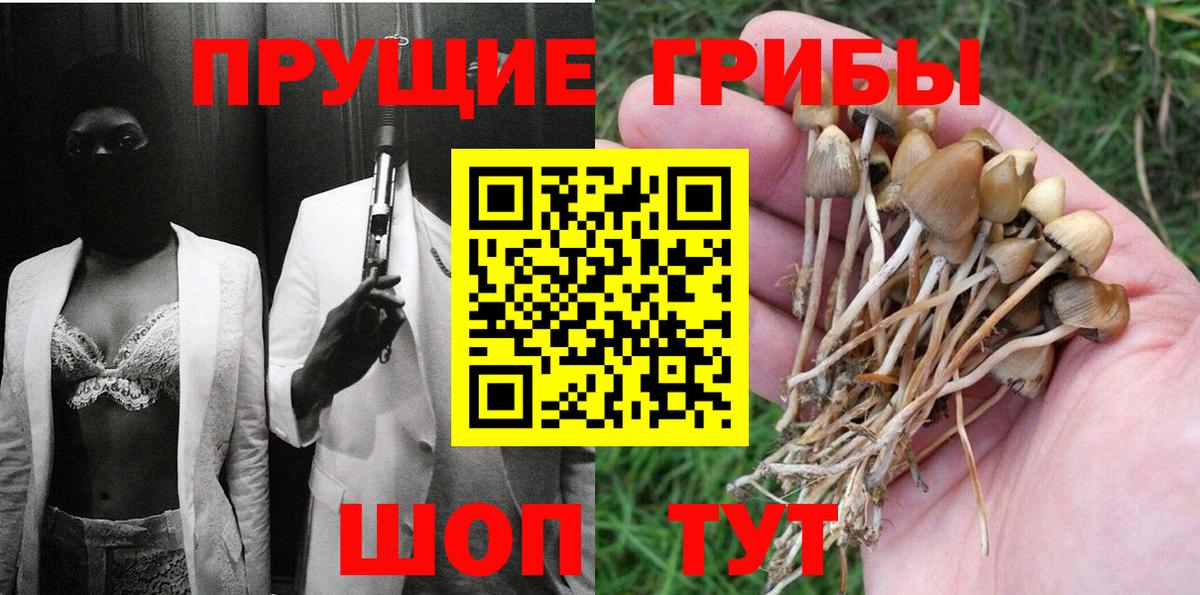 Псилоцибиновые грибы Psilocybe Бугуруслан