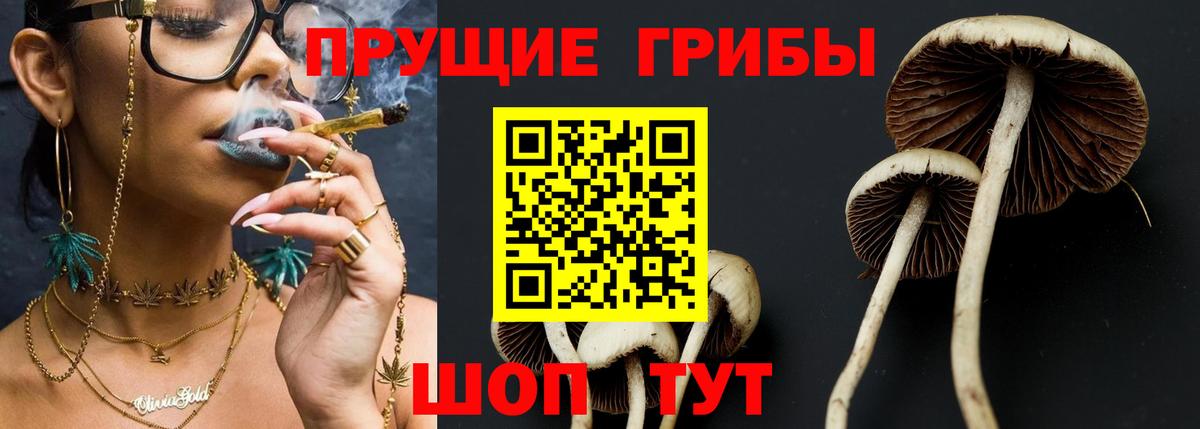 Бугуруслан  Псилоцибиновые грибы GOLDEN TEACHER  Вход с VPN  Псилоцибиновые грибы Cubensis 