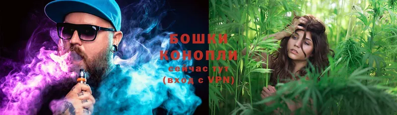 купить наркотик  Бугуруслан  Бошки марихуана SATIVA & INDICA 